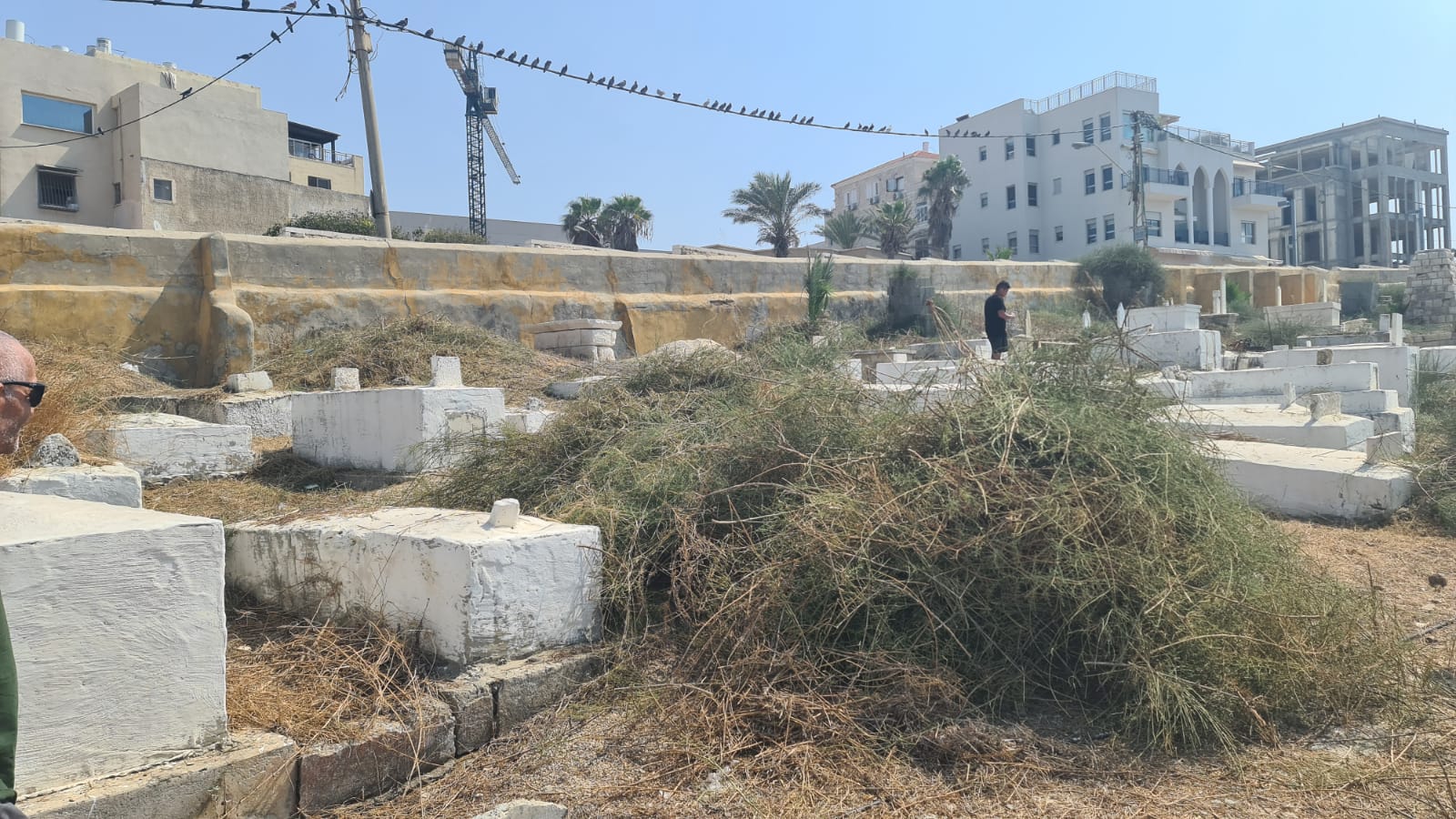 WhatsApp Image 2020-09-19 at 1.45.36 PM (2).jpeg.jpeg